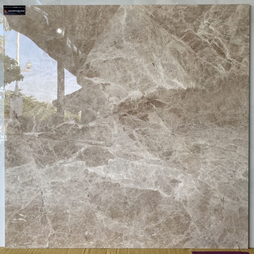 Gạch Ấn Độ 100x100 Fantasy Brown